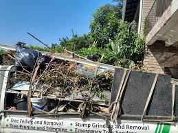 Best Moving and Downsizing Cleanouts  in Huntsville, TX